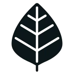 Live SVG Icon